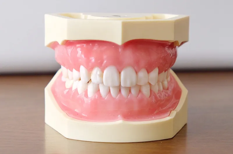 全身のバランスを整え、健やかな毎日を作る噛み合わせ治療