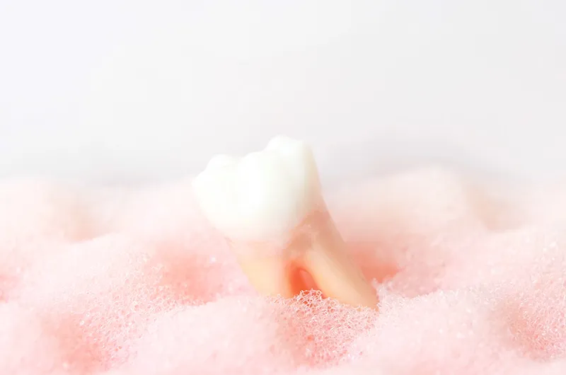 沈黙の病「歯周病」から大切な歯と全身の健康を守るために