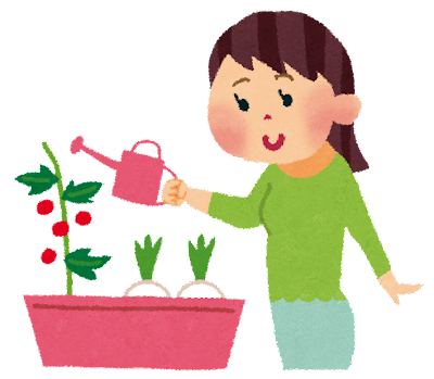 祖母の家庭菜園🍅