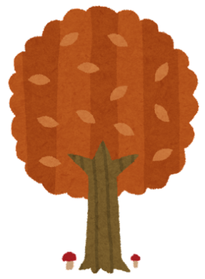 実りの秋🍁