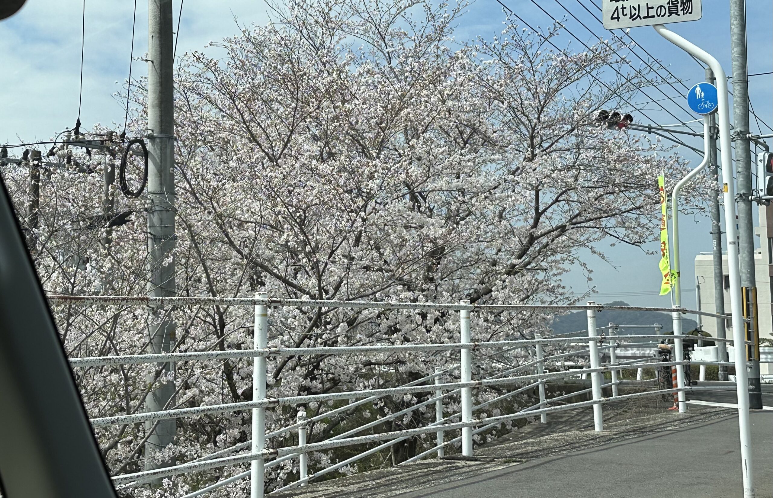 新年度