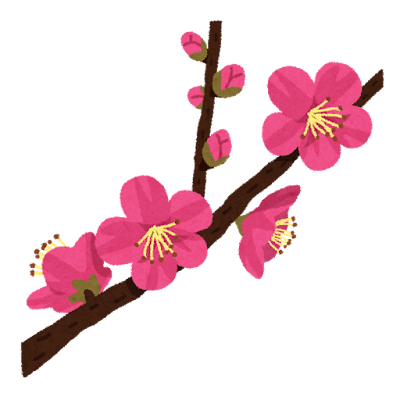 矯正開始🦷