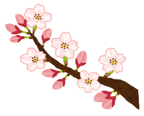 新生活🌸